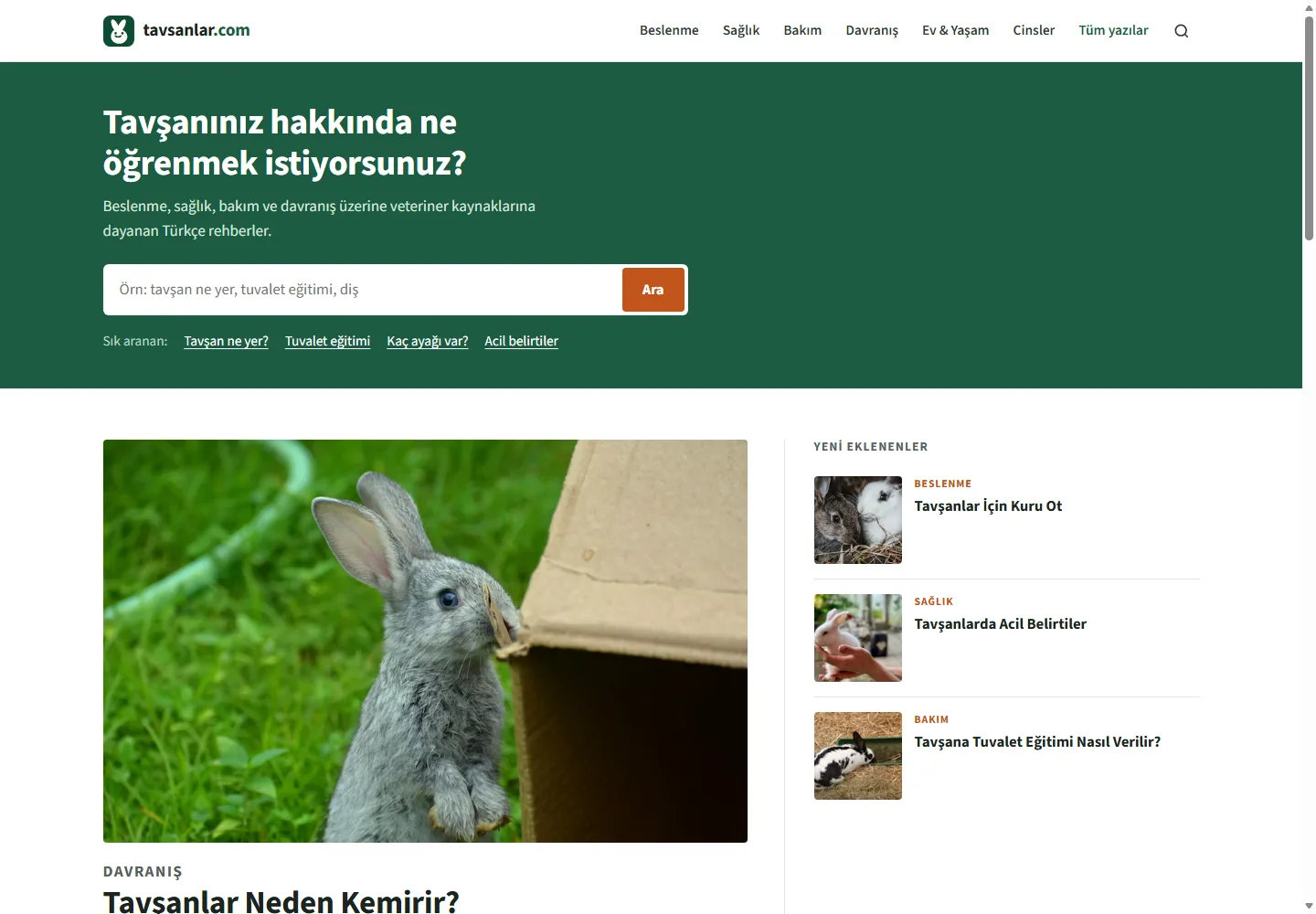 RehberBlog – Blog ve Rehber Sitesi Scripti — gerçek demo ekranı